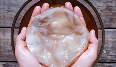 Tea fungus for the treatment of fungus on the legs